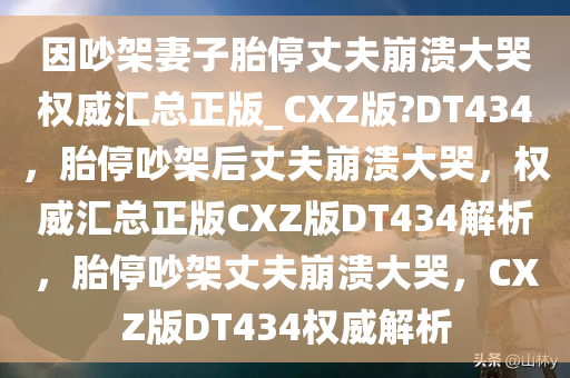 因吵架妻子胎停丈夫崩溃大哭权威汇总正版_CXZ版?DT434，胎停吵架后丈夫崩溃大哭，权威汇总正版CXZ版DT434解析，胎停吵架丈夫崩溃大哭，CXZ版DT434权威解析