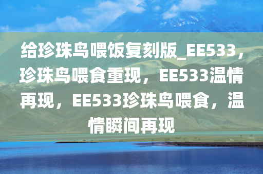 给珍珠鸟喂饭复刻版_EE533，珍珠鸟喂食重现，EE533温情再现，EE533珍珠鸟喂食，温情瞬间再现
