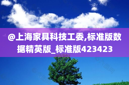 @上海家具科技工委,标准版数据精英版_标准版423423