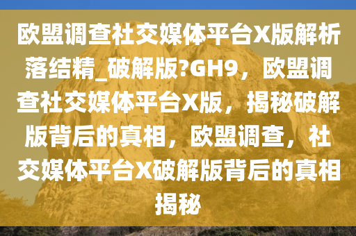 欧盟调查社交媒体平台X版解析落结精_破解版?GH9，欧盟调查社交媒体平台X版，揭秘破解版背后的真相，欧盟调查，社交媒体平台X破解版背后的真相揭秘