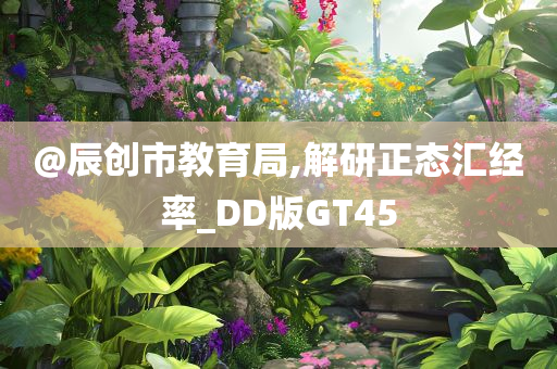 @辰创市教育局,解研正态汇经率_DD版GT45