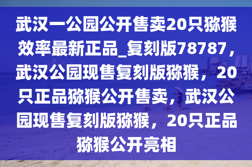 武汉一公园公开售卖20只猕猴效率最新正品_复刻版78787，武汉公园现售复刻版猕猴，20只正品猕猴公开售卖，武汉公园现售复刻版猕猴，20只正品猕猴公开亮相