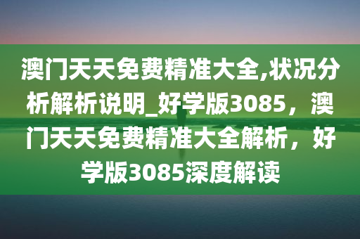 澳门天天免费精准大全,状况分析解析说明_好学版3085，澳门天天免费精准大全解析，好学版3085深度解读