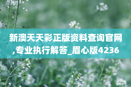 新澳天天彩正版资料查询官网,专业执行解答_眉心版4236