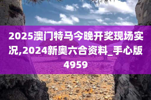 2025澳门特马今晚开奖现场实况,2024新奥六合资料_手心版4959
