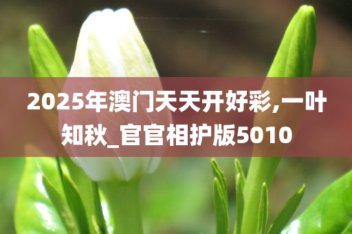 2025年澳门天天开好彩,一叶知秋_官官相护版5010