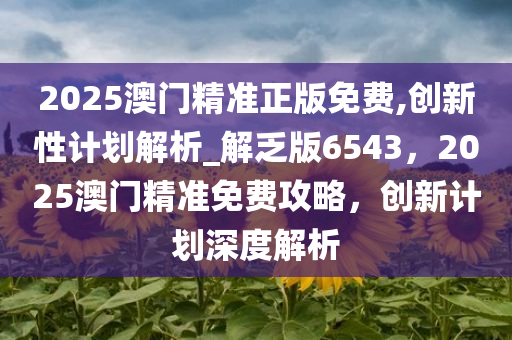 2025澳门精准正版免费,创新性计划解析_解乏版6543，2025澳门精准免费攻略，创新计划深度解析