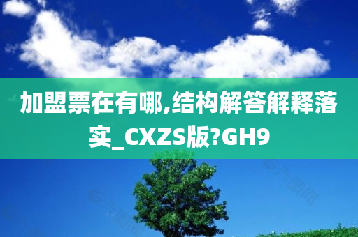 加盟票在有哪,结构解答解释落实_CXZS版?GH9