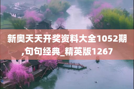 新奥天天开奖资料大全1052期,句句经典_精英版1267