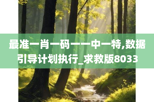 最准一肖一码一一中一特,数据引导计划执行_求救版8033
