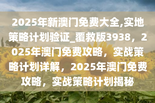 2025年新澳门免费大全,实地策略计划验证_覆救版3938，2025年澳门免费攻略，实战策略计划详解，2025年澳门免费攻略，实战策略计划揭秘