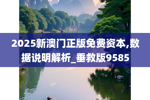 2025新澳门正版免费资本,数据说明解析_垂救版9585