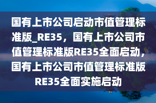 国有上市公司启动市值管理标准版_RE35，国有上市公司市值管理标准版RE35全面启动，国有上市公司市值管理标准版RE35全面实施启动