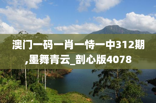澳门一码一肖一恃一中312期,墨舞青云_剖心版4078