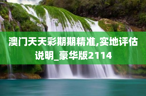澳门天天彩期期精准,实地评估说明_豪华版2114