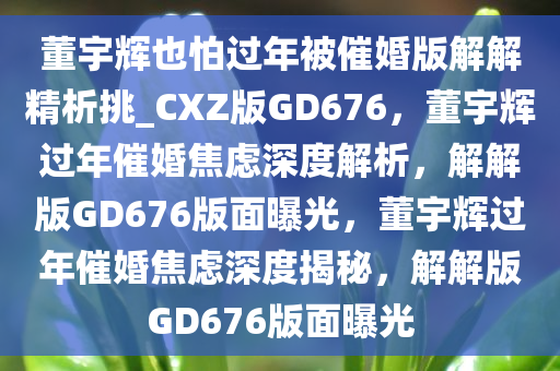 董宇辉也怕过年被催婚版解解精析挑_CXZ版GD676，董宇辉过年催婚焦虑深度解析，解解版GD676版面曝光，董宇辉过年催婚焦虑深度揭秘，解解版GD676版面曝光