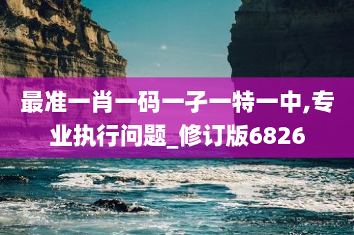 最准一肖一码一孑一特一中,专业执行问题_修订版6826