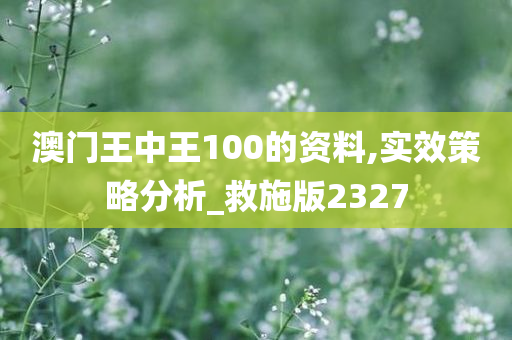 澳门王中王100的资料,实效策略分析_救施版2327