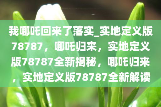实地定义版