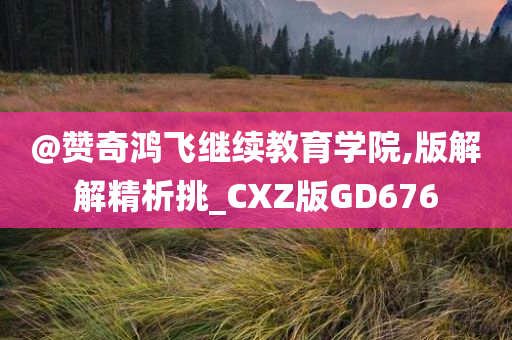 @赞奇鸿飞继续教育学院,版解解精析挑_CXZ版GD676今晚必出三肖2025_2025新澳门精准免费提供·精确判断