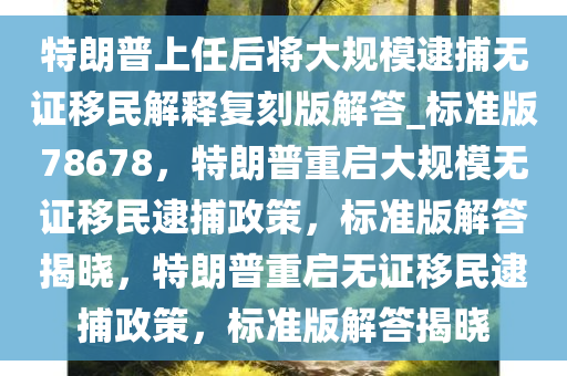 特朗普上任后将大规模逮捕无证移民解释复刻版解答_标准版78678，特朗普重启大规模无证移民逮捕政策，标准版解答揭晓，特朗普重启无证移民逮捕政策，标准版解答揭晓