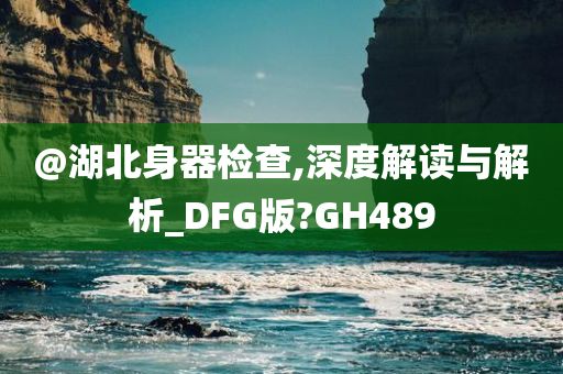 @湖北身器检查,深度解读与解析_DFG版?GH489