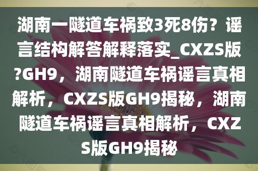 湖南一隧道车祸致3死8伤？谣言结构解答解释落实_CXZS版?GH9，湖南隧道车祸谣言真相解析，CXZS版GH9揭秘，湖南隧道车祸谣言真相解析，CXZS版GH9揭秘
