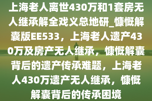 上海老人离世430万和1套房无人继承解全戏义总地研_慷慨解囊版EE533，上海老人遗产430万及房产无人继承，慷慨解囊背后的遗产传承难题，上海老人430万遗产无人继承，慷慨解囊背后的传承困境