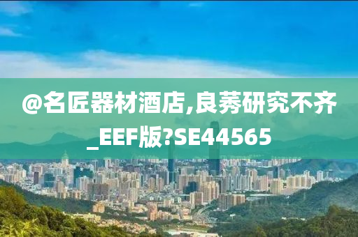 @名匠器材酒店,良莠研究不齐_EEF版?SE44565