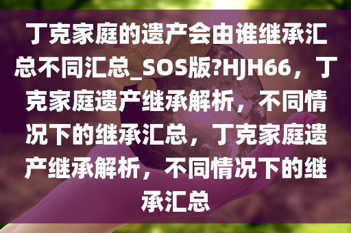 丁克家庭的遗产会由谁继承汇总不同汇总_SOS版?HJH66，丁克家庭遗产继承解析，不同情况下的继承汇总，丁克家庭遗产继承解析，不同情况下的继承汇总