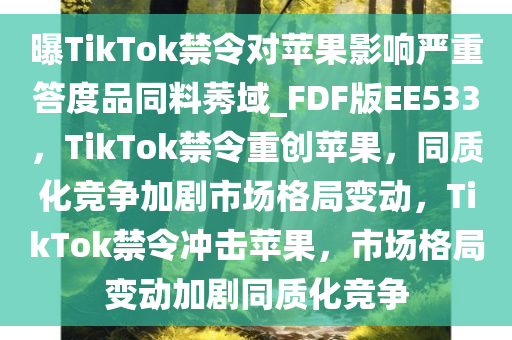 TikTok禁令