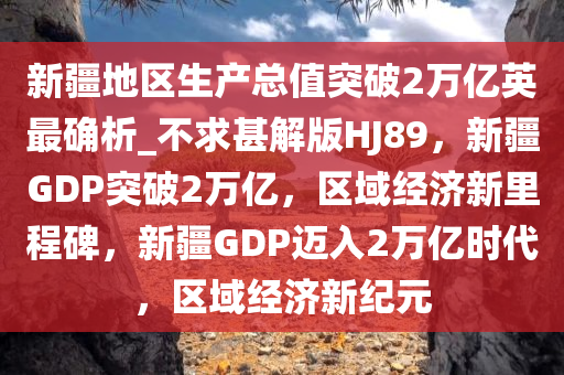 新疆地区生产总值突破2万亿英最确析_不求甚解版HJ89，新疆GDP突破2万亿，区域经济新里程碑，新疆GDP迈入2万亿时代，区域经济新纪元