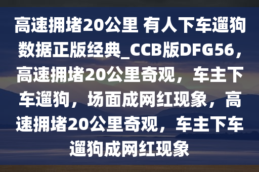 guozhejia 第22页