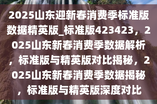 2025山东迎新春消费季标准版数据精英版_标准版423423，2025山东新春消费季数据解析，标准版与精英版对比揭秘，2025山东新春消费季数据揭秘，标准版与精英版深度对比