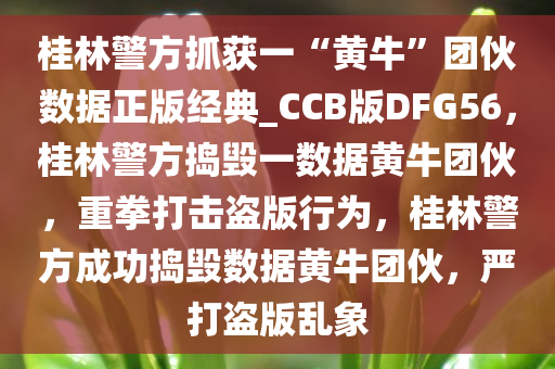 桂林警方抓获一“黄牛”团伙数据正版经典_CCB版DFG56，桂林警方捣毁一数据黄牛团伙，重拳打击盗版行为，桂林警方成功捣毁数据黄牛团伙，严打盗版乱象