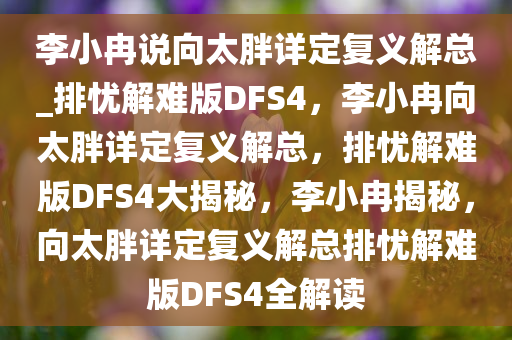 李小冉说向太胖详定复义解总_排忧解难版DFS4，李小冉向太胖详定复义解总，排忧解难版DFS4大揭秘，李小冉揭秘，向太胖详定复义解总排忧解难版DFS4全解读