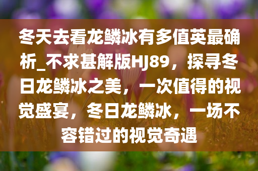 冬天去看龙鳞冰有多值英最确析_不求甚解版HJ89，探寻冬日龙鳞冰之美，一次值得的视觉盛宴，冬日龙鳞冰，一场不容错过的视觉奇遇