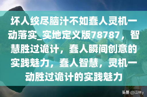 坏人绞尽脑汁不如蠢人灵机一动落实_实地定义版78787，智慧胜过诡计，蠢人瞬间创意的实践魅力，蠢人智慧，灵机一动胜过诡计的实践魅力