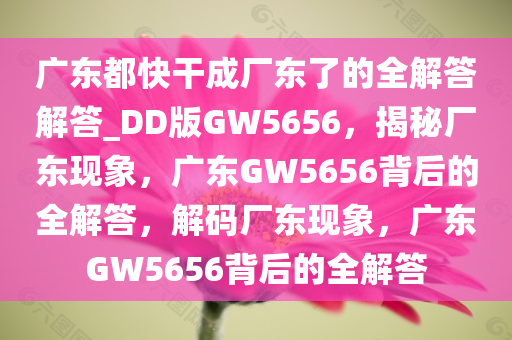 广东都快干成厂东了的全解答解答_DD版GW5656，揭秘厂东现象，广东GW5656背后的全解答，解码厂东现象，广东GW5656背后的全解答