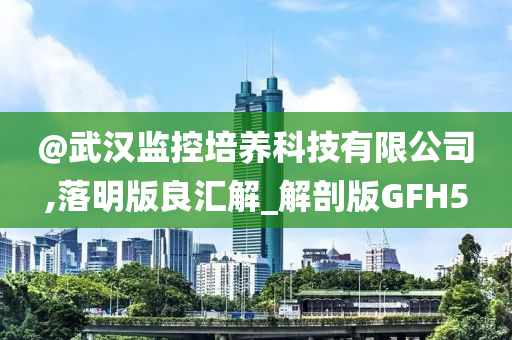 @武汉监控培养科技有限公司,落明版良汇解_解剖版GFH5