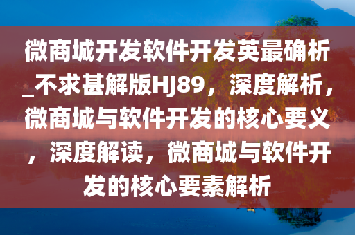 微商城开发软件开发英最确析_不求甚解版HJ89，深度解析，微商城与软件开发的核心要义，深度解读，微商城与软件开发的核心要素解析