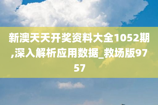 新澳天天开奖资料大全1052期,深入解析应用数据_救场版9757