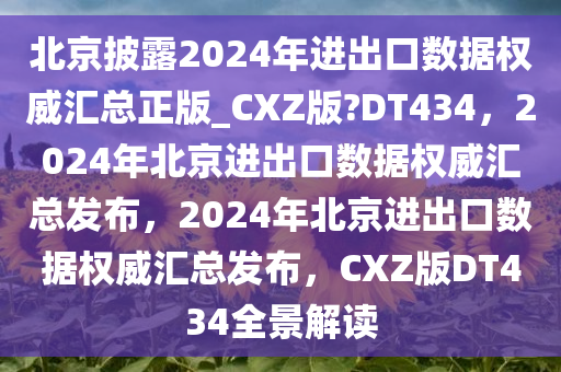 北京披露2024年进出口数据权威汇总正版_CXZ版?DT434，2024年北京进出口数据权威汇总发布，2024年北京进出口数据权威汇总发布，CXZ版DT434全景解读