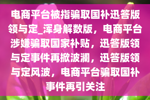 电商平台被指骗取国补迅答版领与定_浑身解数版，电商平台涉嫌骗取国家补贴，迅答版领与定事件再掀波澜，迅答版领与定风波，电商平台骗取国补事件再引关注