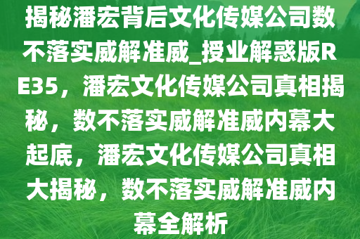 揭秘潘宏背后文化传媒公司数不落实威解准威_授业解惑版RE35，潘宏文化传媒公司真相揭秘，数不落实威解准威内幕大起底，潘宏文化传媒公司真相大揭秘，数不落实威解准威内幕全解析