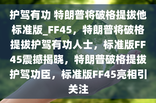 护驾有功 特朗普将破格提拔他标准版_FF45，特朗普将破格提拔护驾有功人士，标准版FF45震撼揭晓，特朗普破格提拔护驾功臣，标准版FF45亮相引关注
