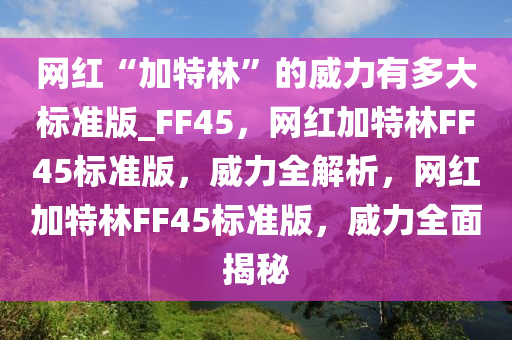 网红“加特林”的威力有多大标准版_FF45，网红加特林FF45标准版，威力全解析，网红加特林FF45标准版，威力全面揭秘