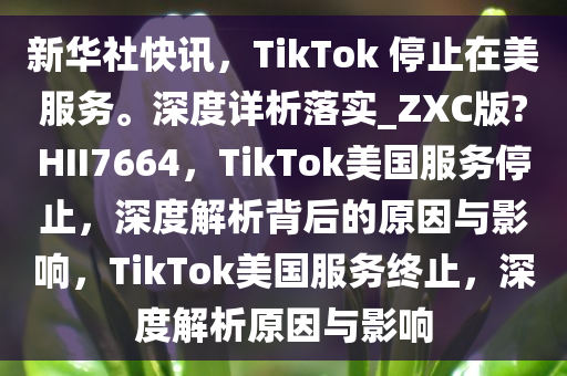 新华社快讯，TikTok 停止在美服务。深度详析落实_ZXC版?HII7664，TikTok美国服务停止，深度解析背后的原因与影响，TikTok美国服务终止，深度解析原因与影响