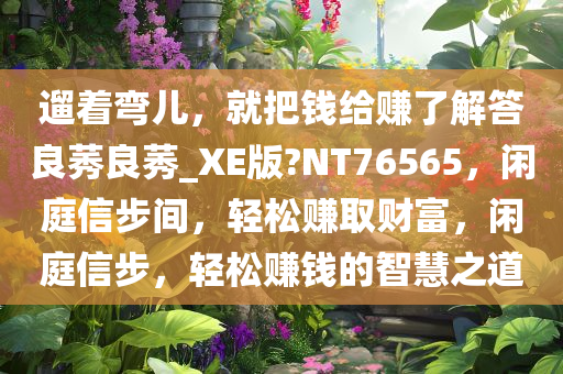 遛着弯儿，就把钱给赚了解答良莠良莠_XE版?NT76565，闲庭信步间，轻松赚取财富，闲庭信步，轻松赚钱的智慧之道