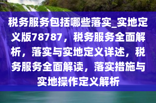税务服务